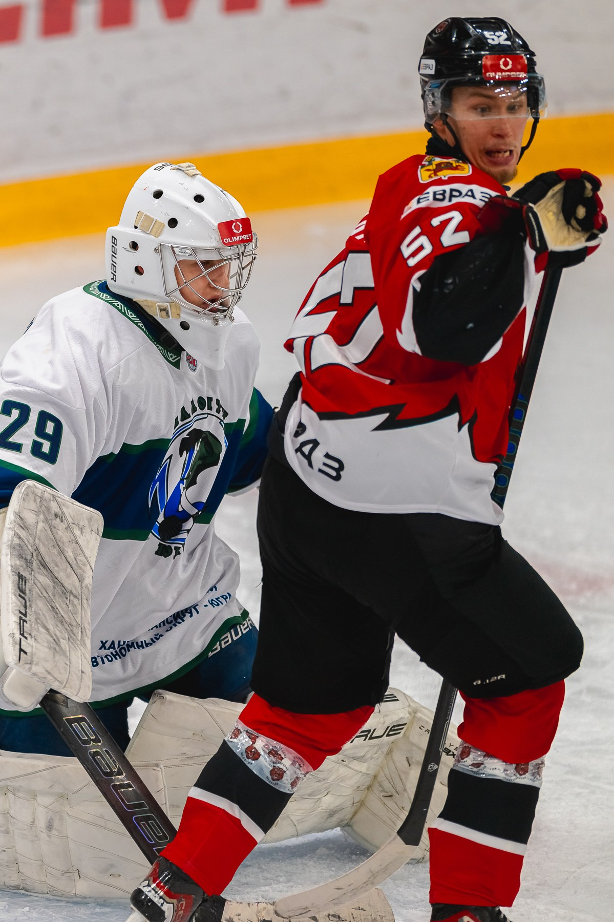 Медведи-Мамонты Югры. ProfotoNK