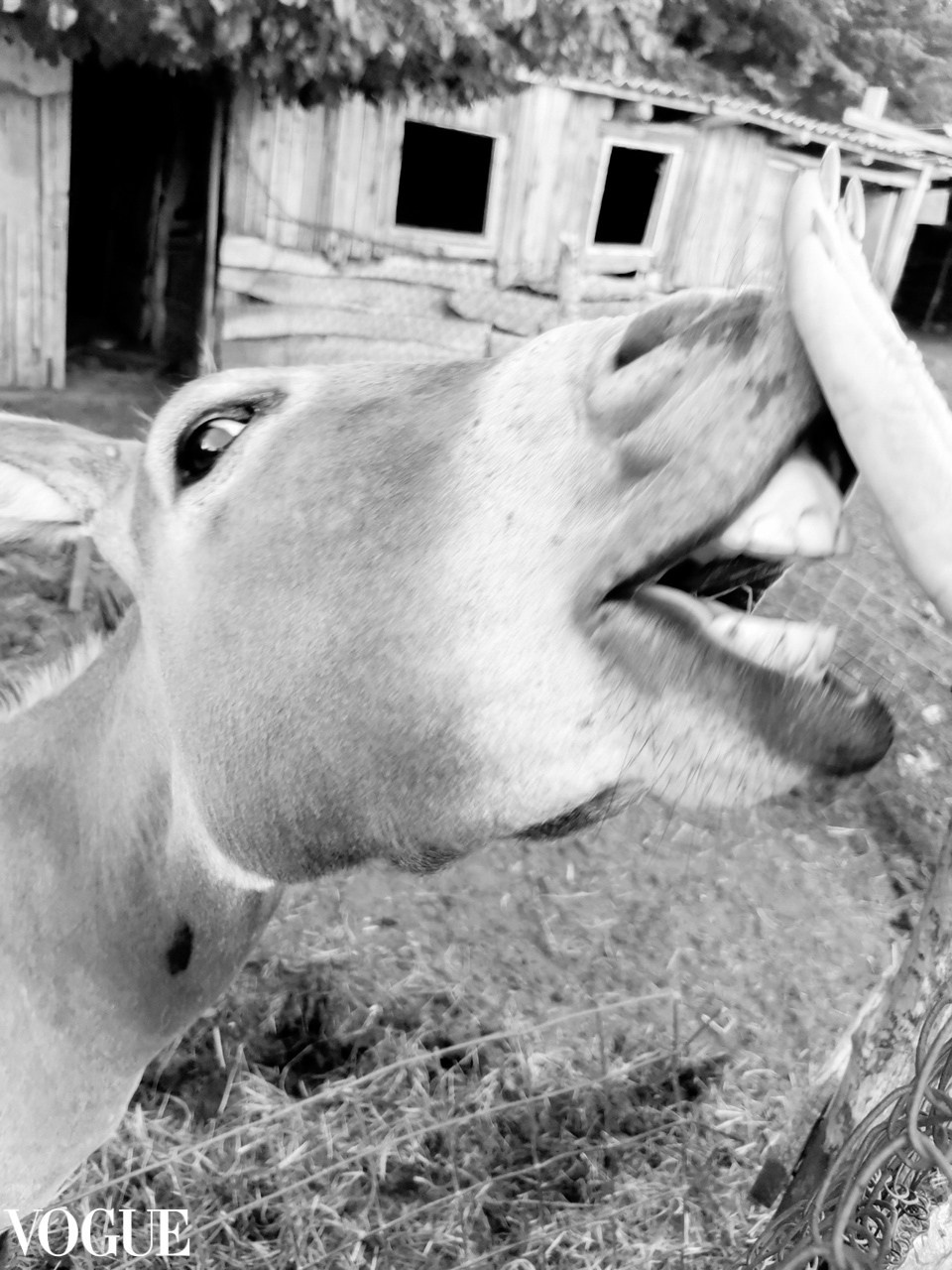 Публикация. Фотограф в Сочи Марина Барс