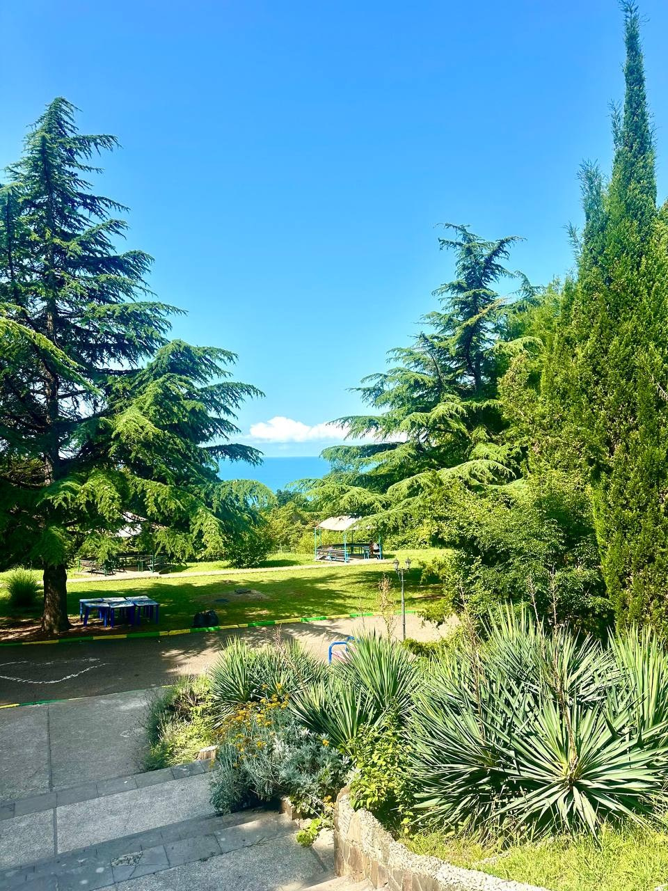 Новости о танцах во Фрязино Tanzclass Лилии Лебедевой. Tanzclass Лилии Лебедевой, Фрязино