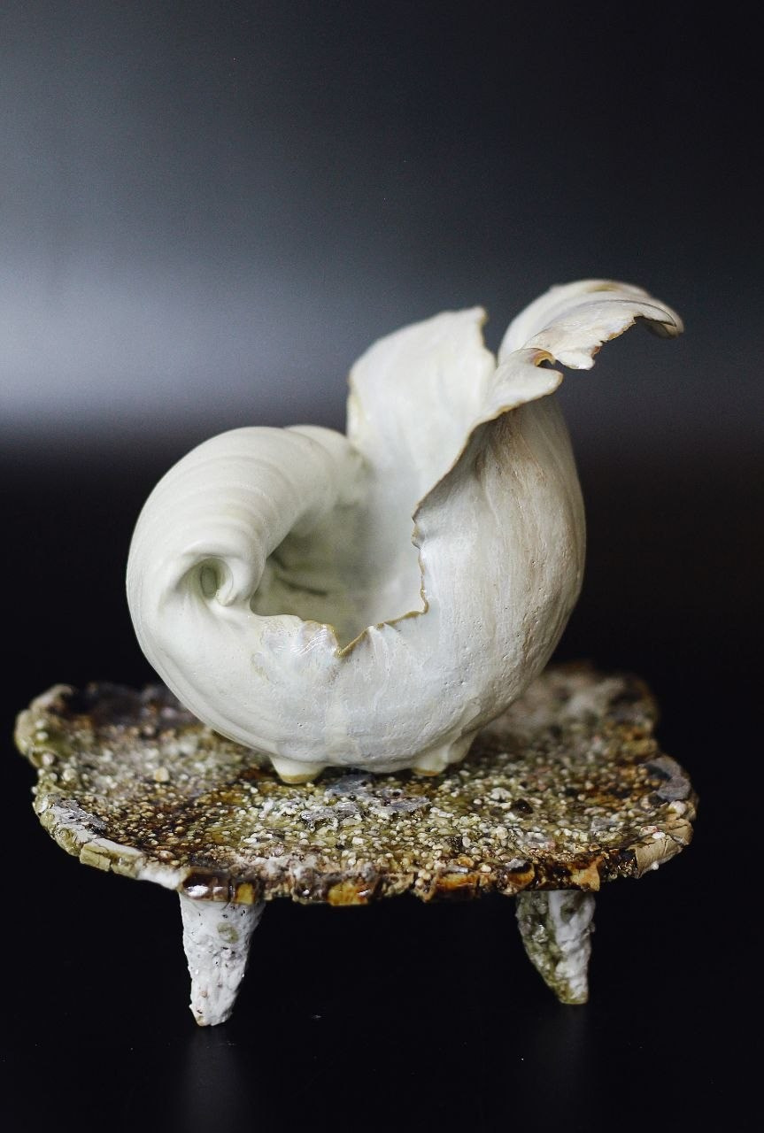 Разговоры о море. ARGILLA CERAMICS