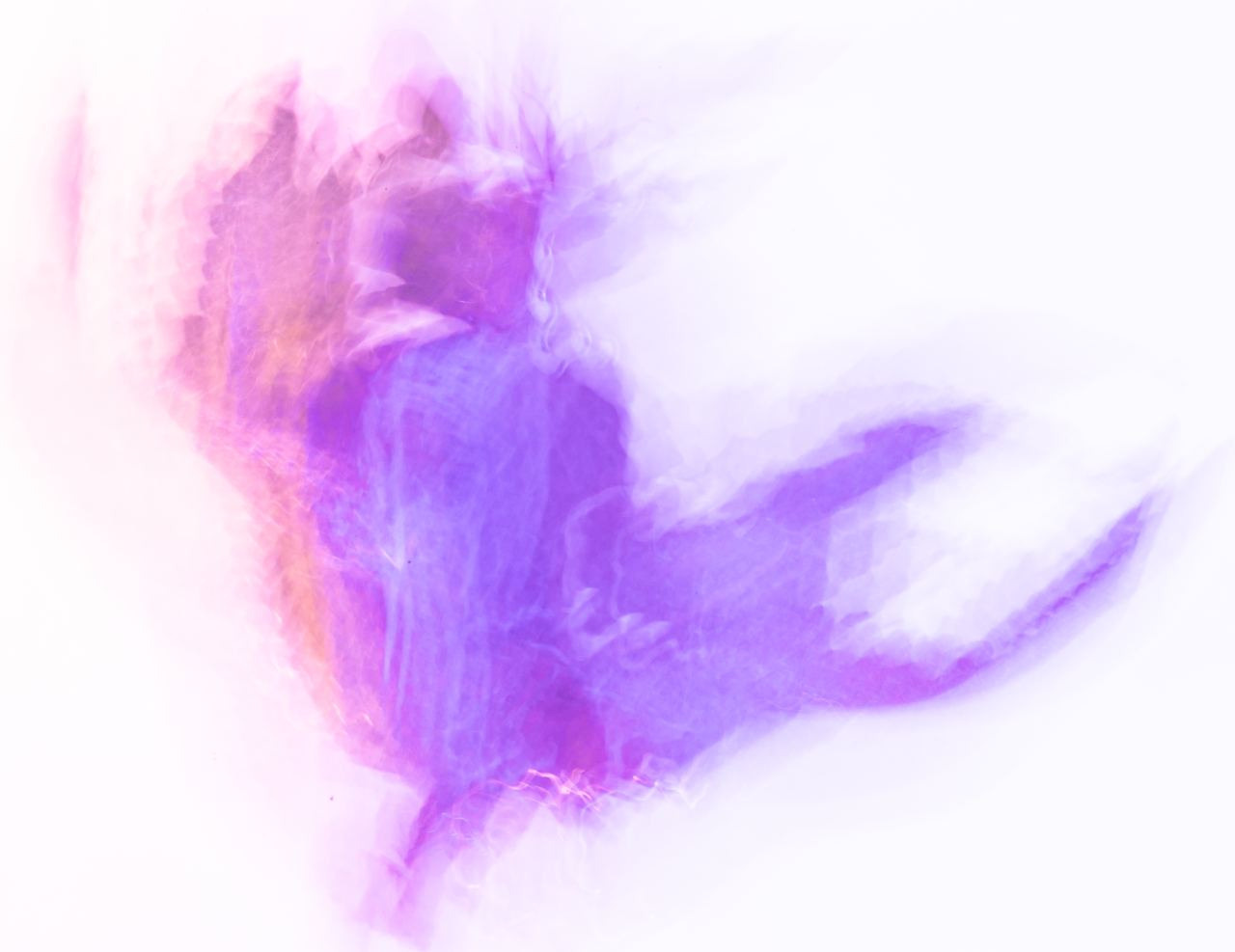 Сорняки. Mixed-media Artist Irina Sokolova