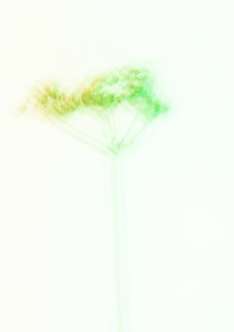 Сорняки. Mixed-media Artist Irina Sokolova