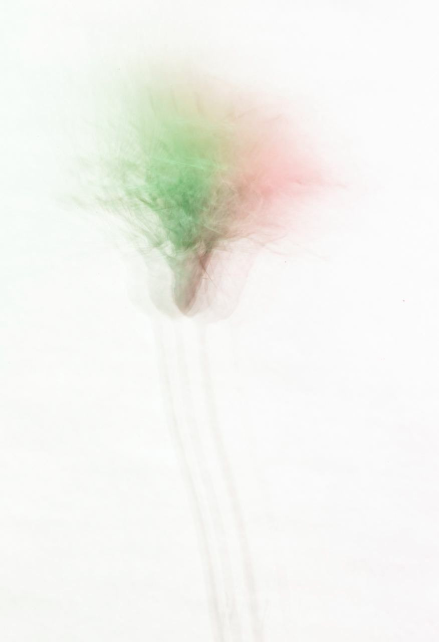 Сорняки. Mixed-media Artist Irina Sokolova