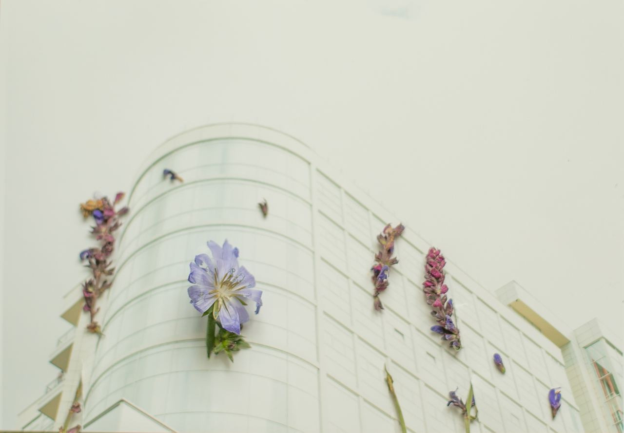 Коллаборация. Mixed-media Artist Irina Sokolova