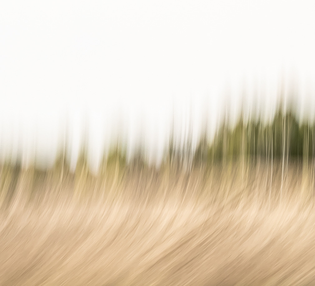 Пейзаж. Mixed-media Artist Irina Sokolova