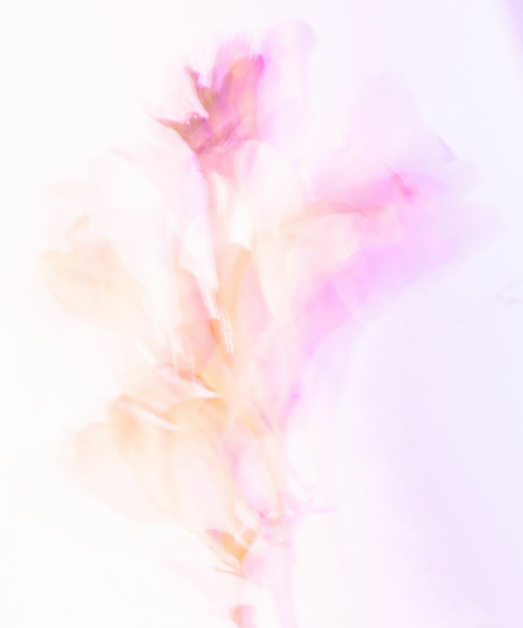 Сорняки. Mixed-media Artist Irina Sokolova