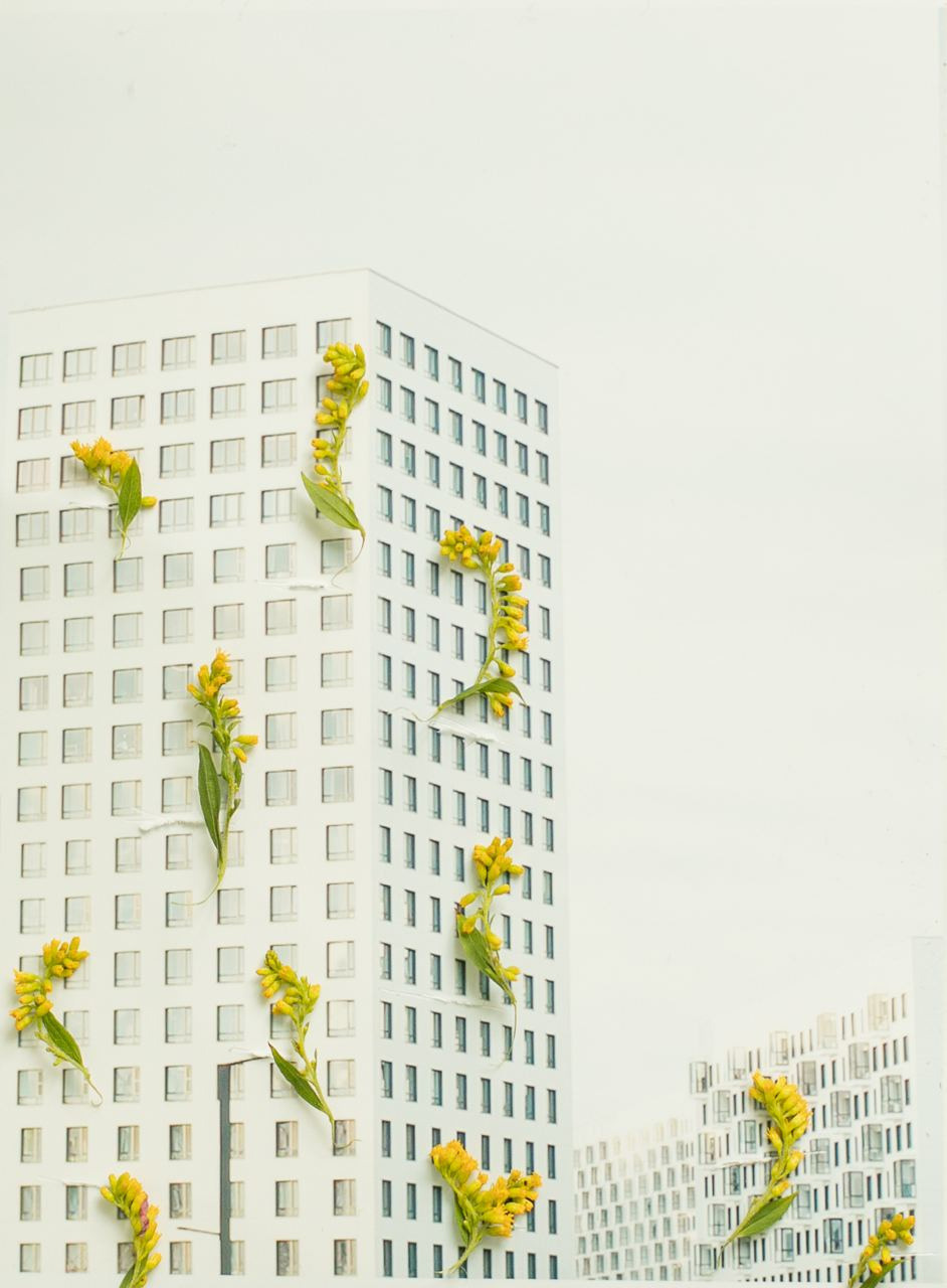 Коллаборация. Mixed-media Artist Irina Sokolova