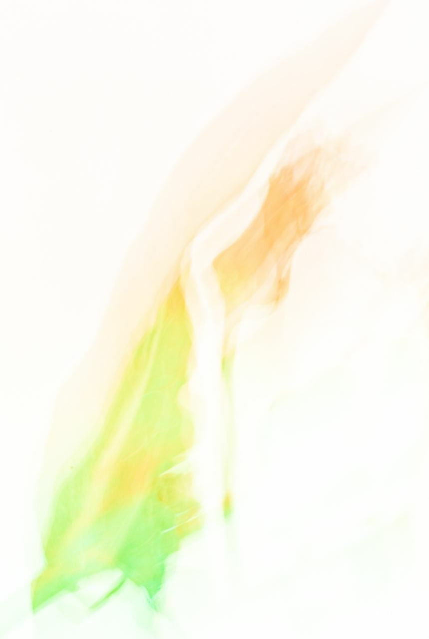 Сорняки. Mixed-media Artist Irina Sokolova