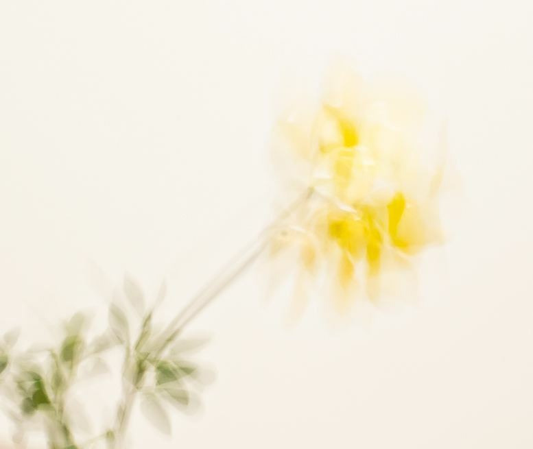 Сорняки. Mixed-media Artist Irina Sokolova