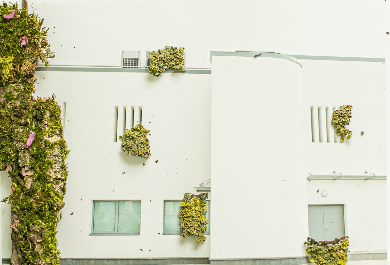 Коллаборация. Mixed-media Artist Irina Sokolova