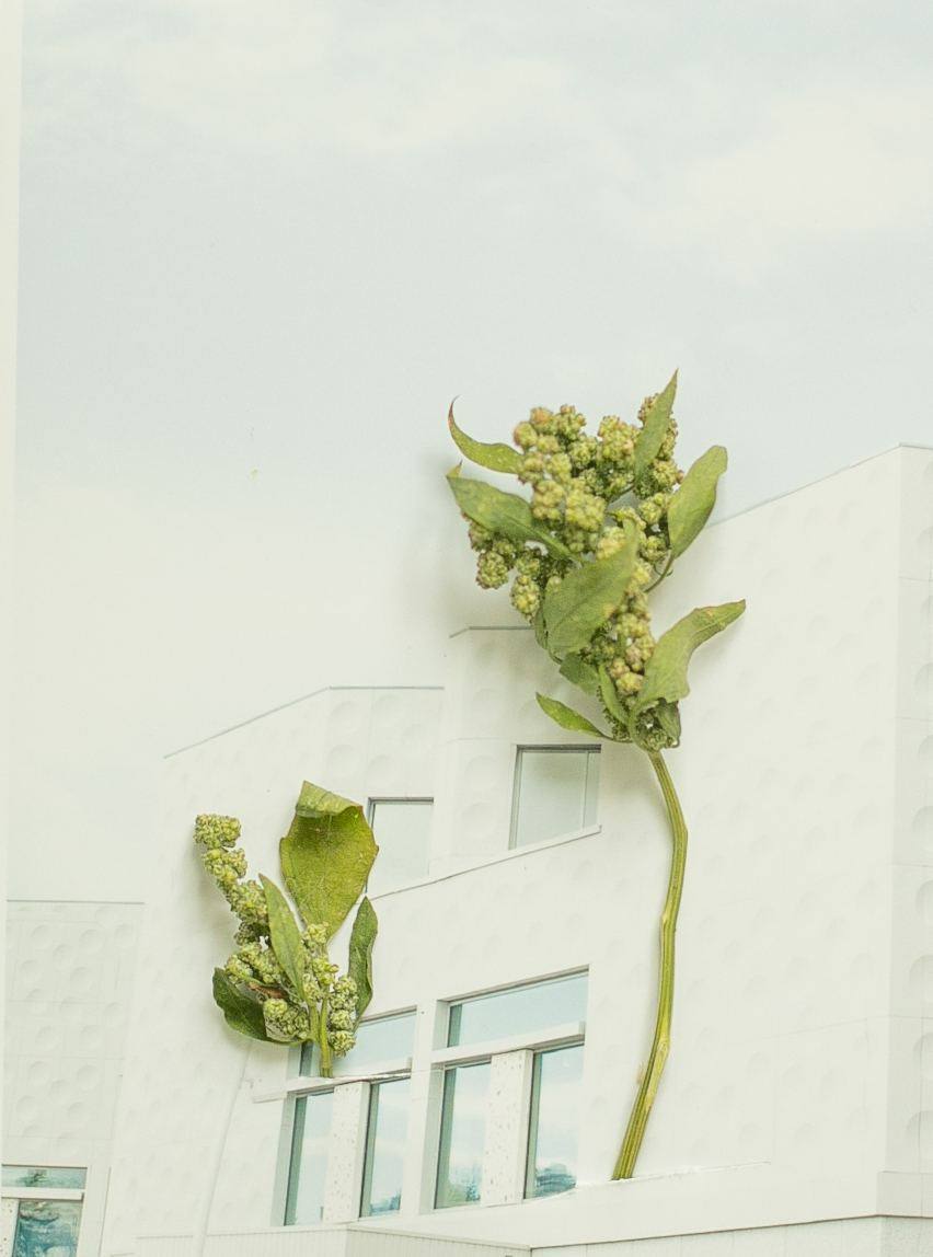 Коллаборация. Mixed-media Artist Irina Sokolova