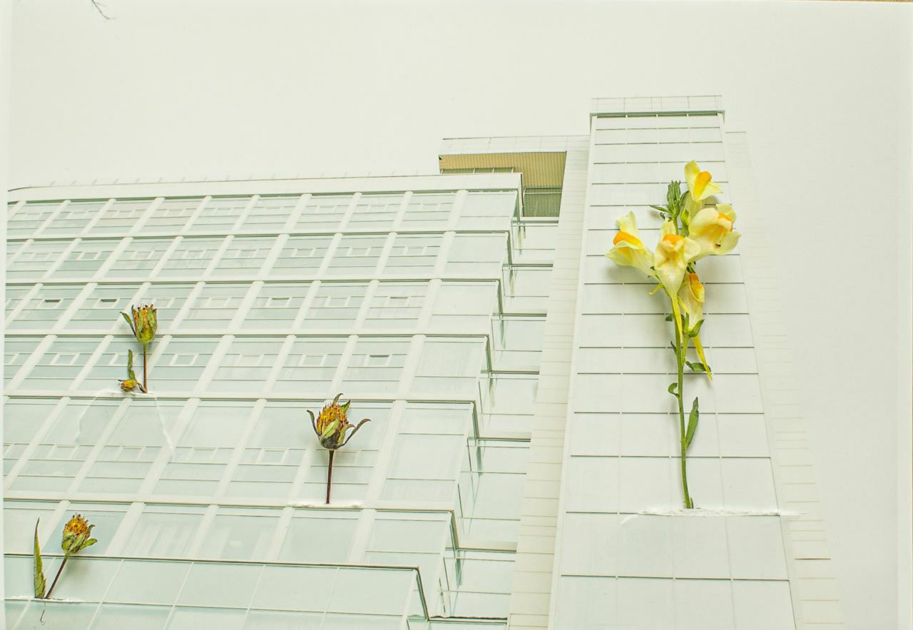 Коллаборация. Mixed-media Artist Irina Sokolova