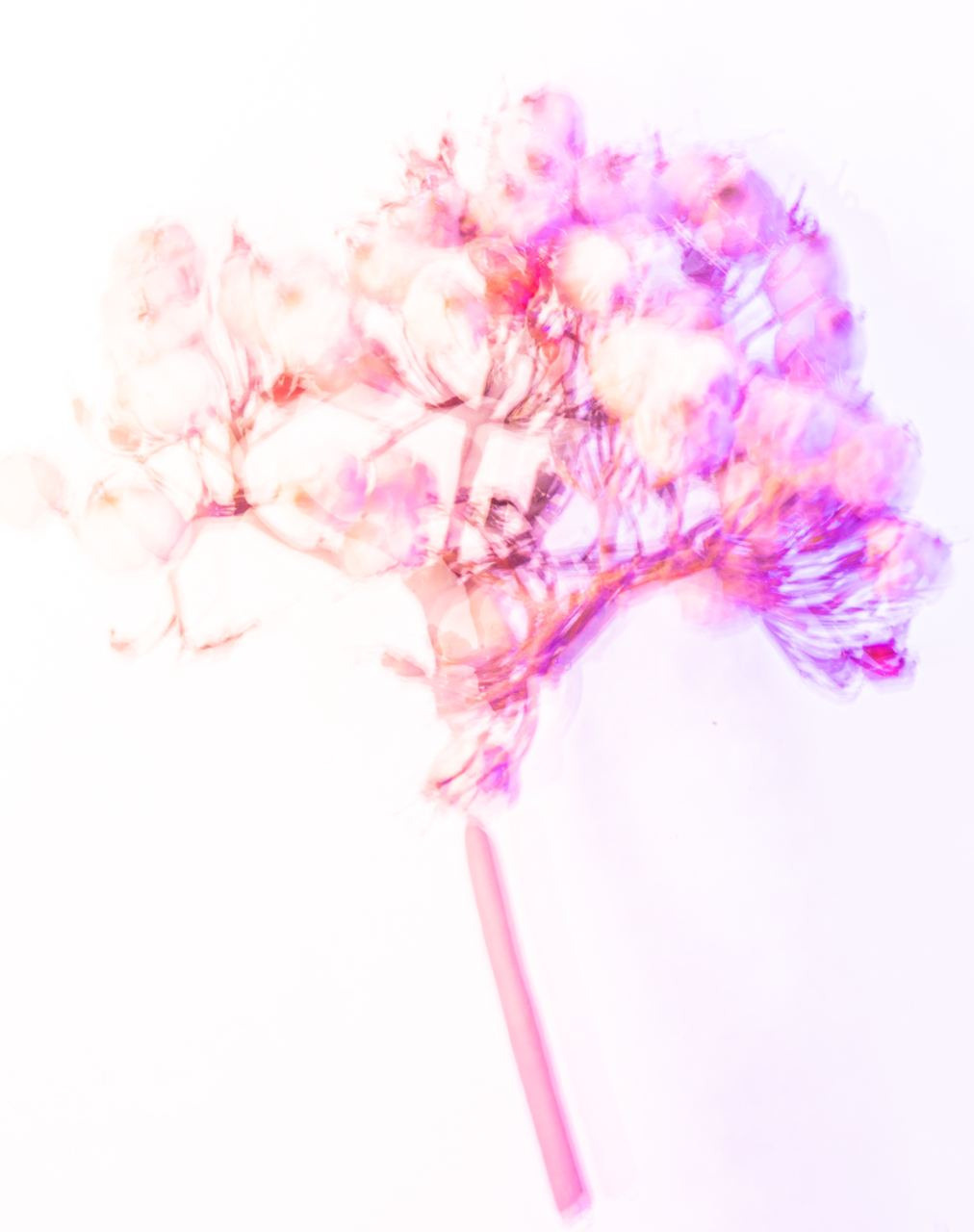 Сорняки. Mixed-media Artist Irina Sokolova