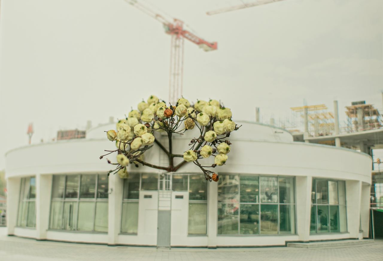 Коллаборация. Mixed-media Artist Irina Sokolova