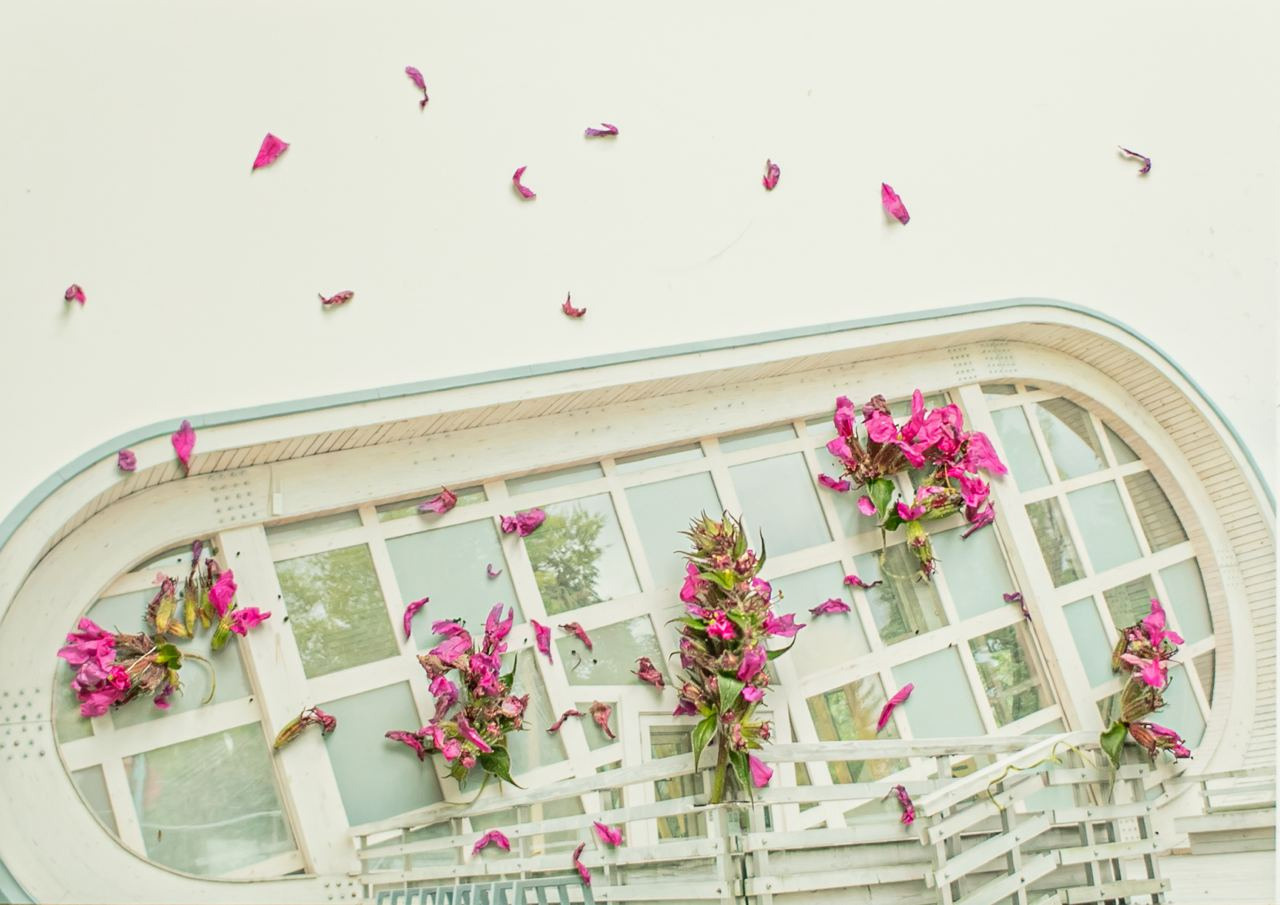 Коллаборация. Mixed-media Artist Irina Sokolova