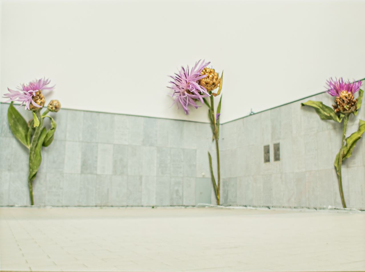 Коллаборация. Mixed-media Artist Irina Sokolova