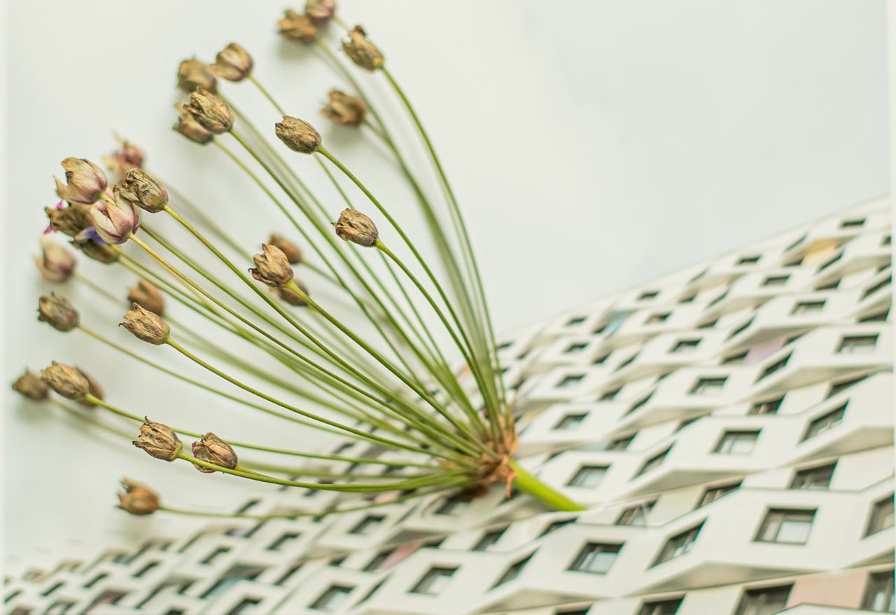 Коллаборация. Mixed-media Artist Irina Sokolova