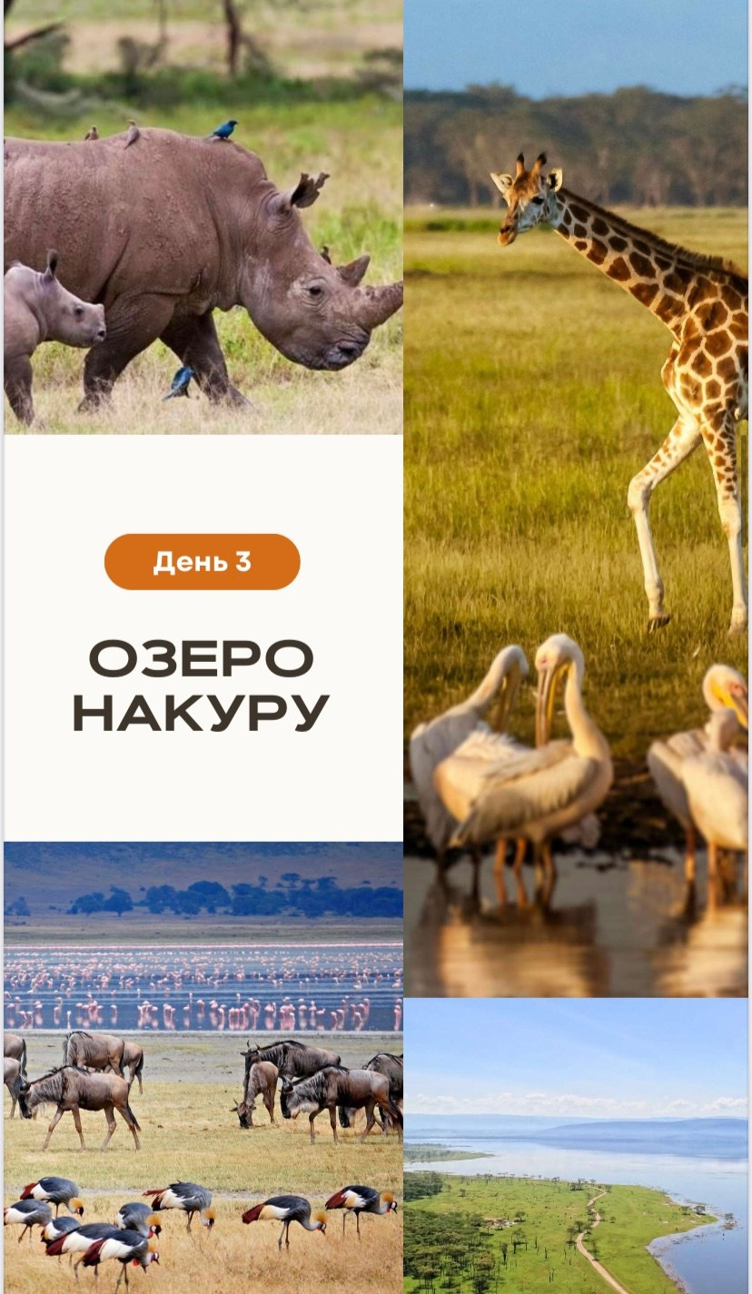 КЕНИЯ 20-26,03. Семейный фотограф, фотосессия беременности в Новосибирске Кристина Киб