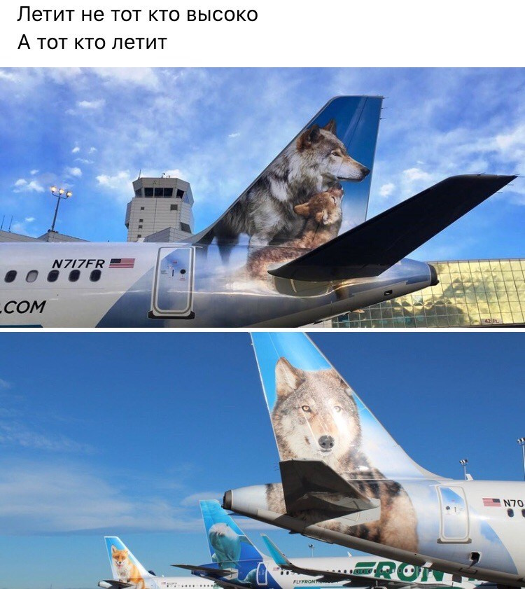 2025.08.20 Ярослав и Катя. Вова Вершинин - свадебный видеограф в Нижнем Новгороде, Москве и всей России