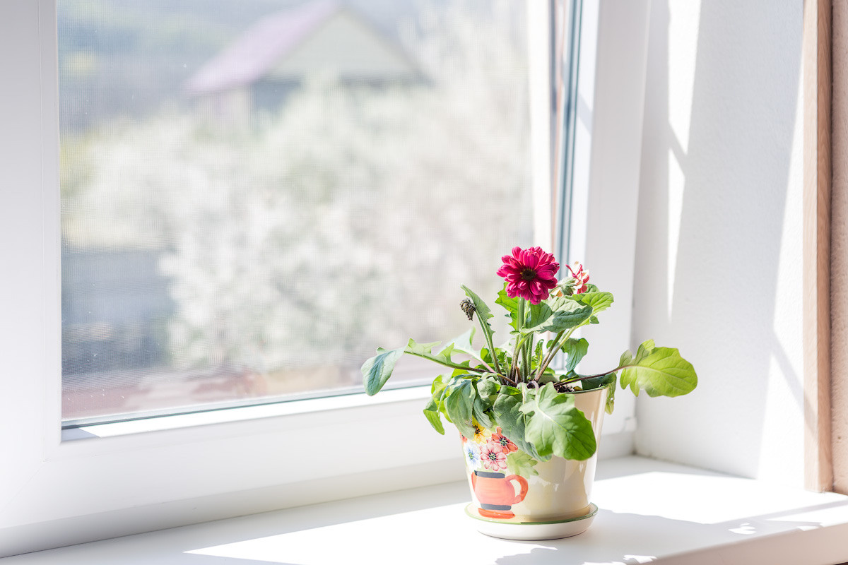 Профессиональная фотосъемка гостинниц