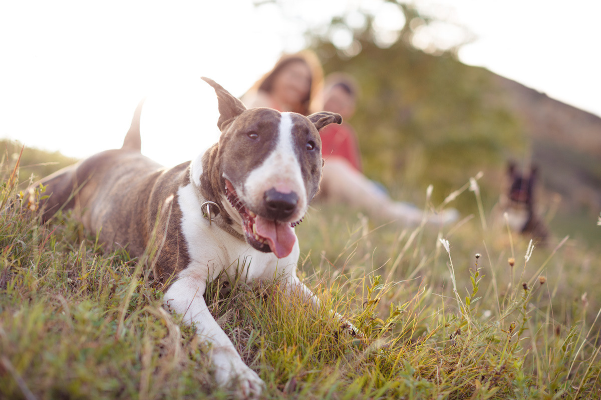 Фотосессия Love story от Tosya Alex