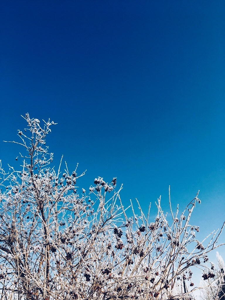 Визуальный дневник. Портретный фотограф в Москве Гахраманова Екатерина