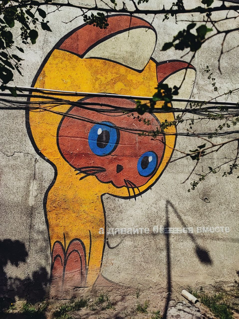 Намобилкус казахский. Репортажный фотограф Алексей Пирязев