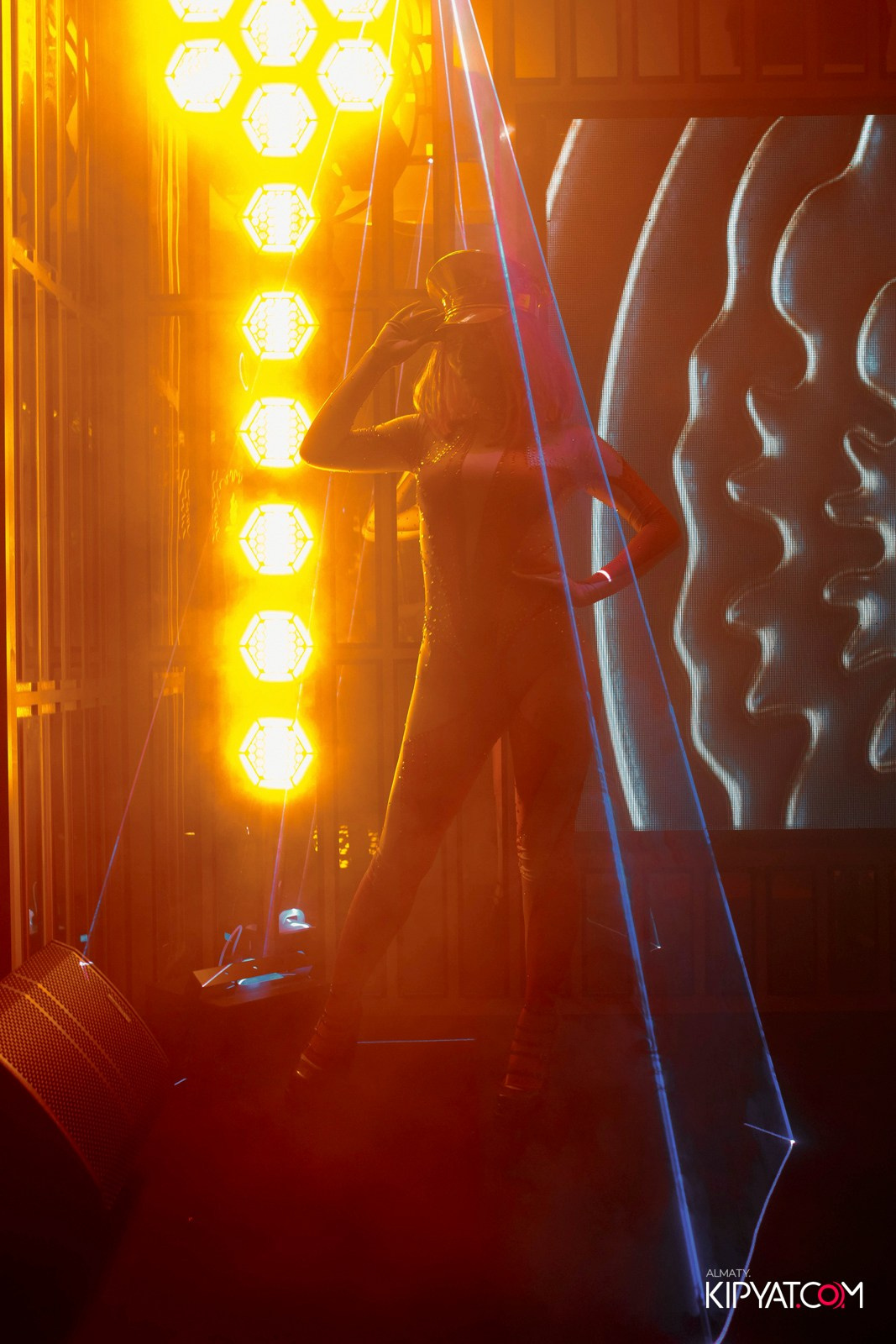 УХО И МЕДВЕДЬ НА КУРМАНГАЗЫ. КИПЯТКОМ АЛМАТЫ! Фотосъемка мероприятий в Алматы