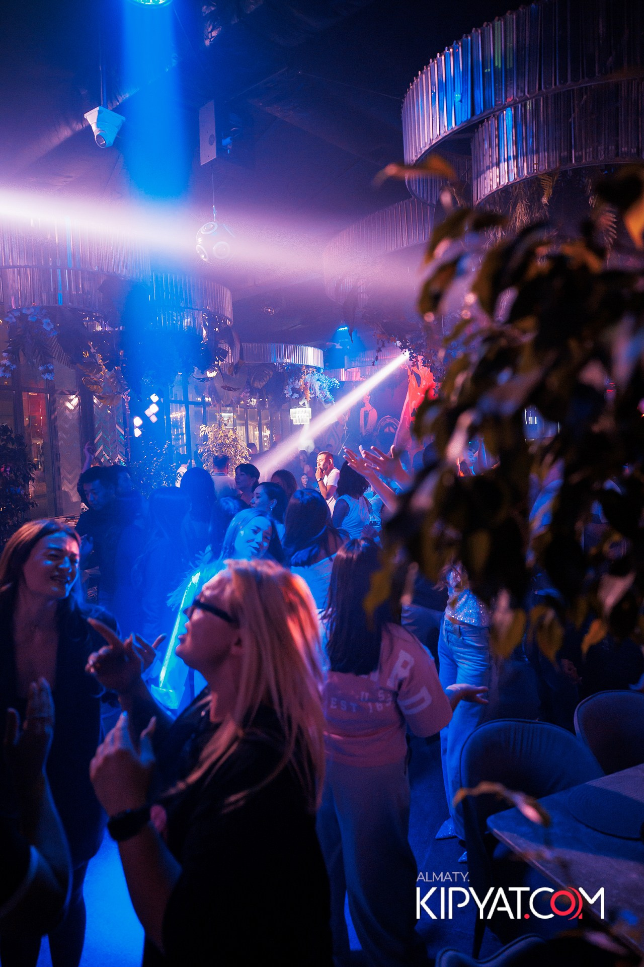 Friends bar & terrace. КИПЯТКОМ АЛМАТЫ!