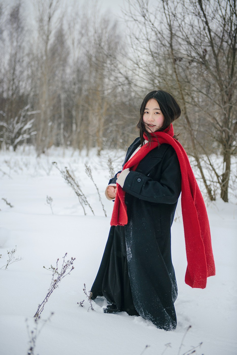 photo shoot for a girl in a winter field, snow (photography from Elena Carruthers)