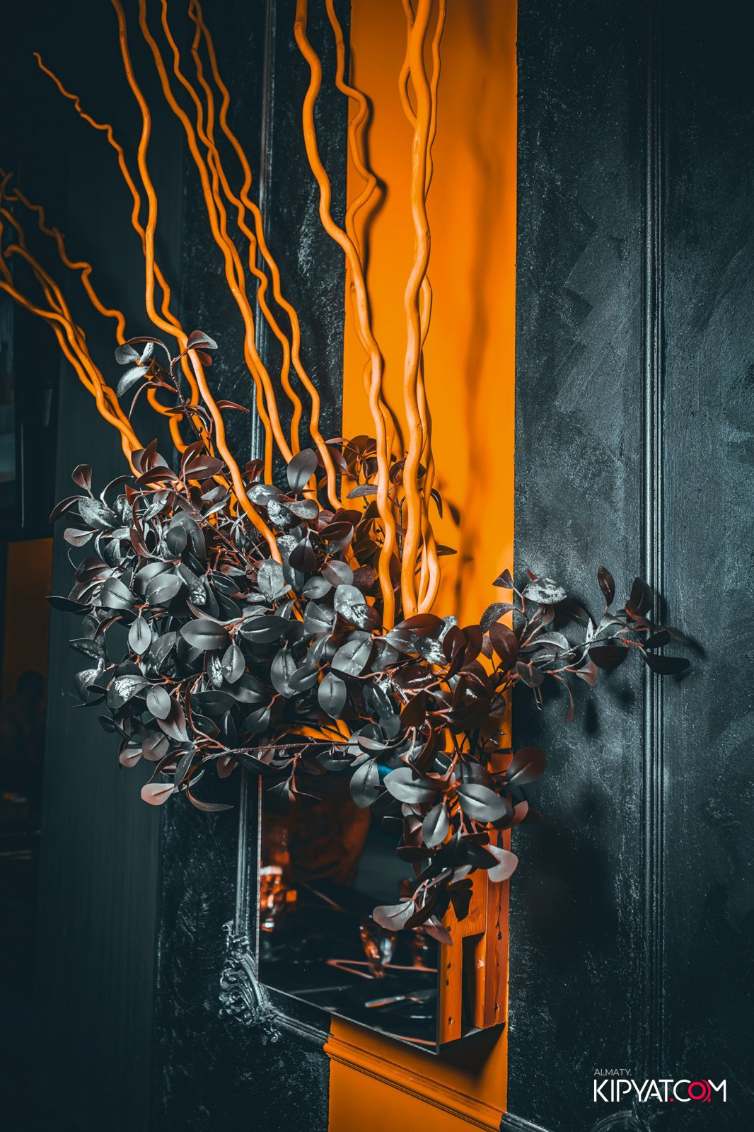 УХО И МЕДВЕДЬ НА ГАГАРИНА. КИПЯТКОМ АЛМАТЫ!