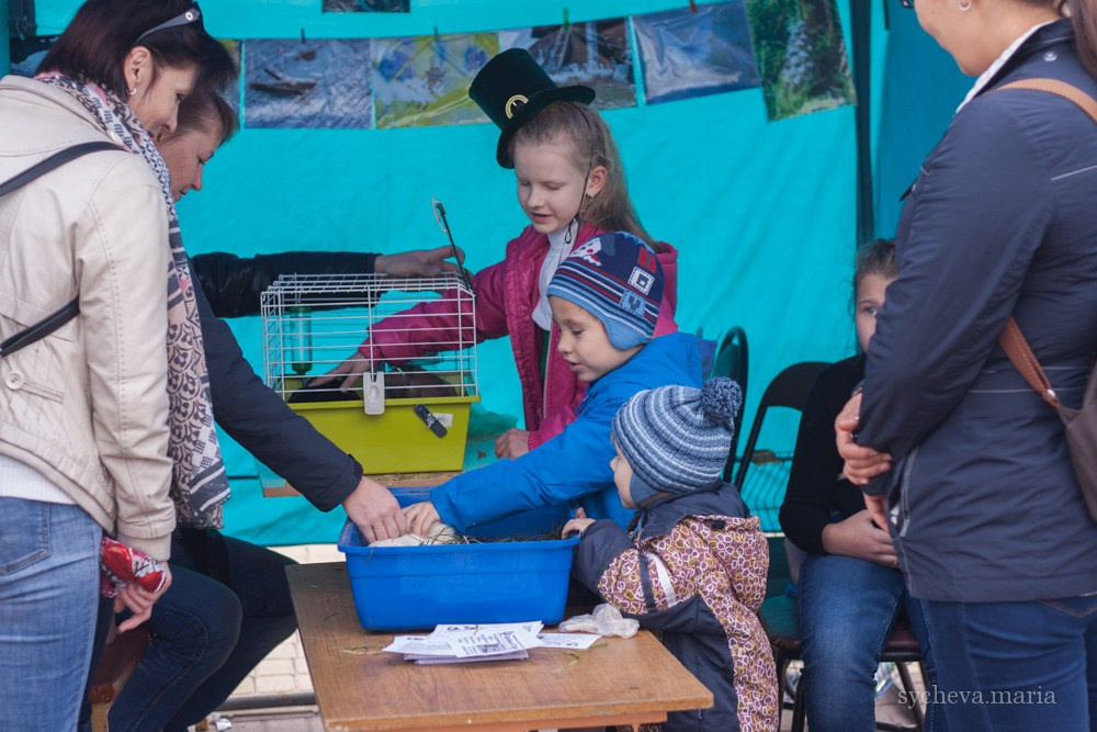 Ярмарка талантов. Детский и семейный фотограф, фотограф мероприятий Нижний Новгород