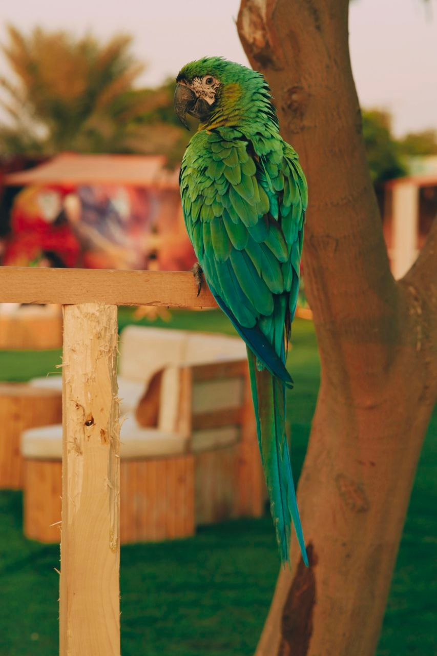 Эль-Джубайль. СА. 2025. Фотограф Михаил Олейник