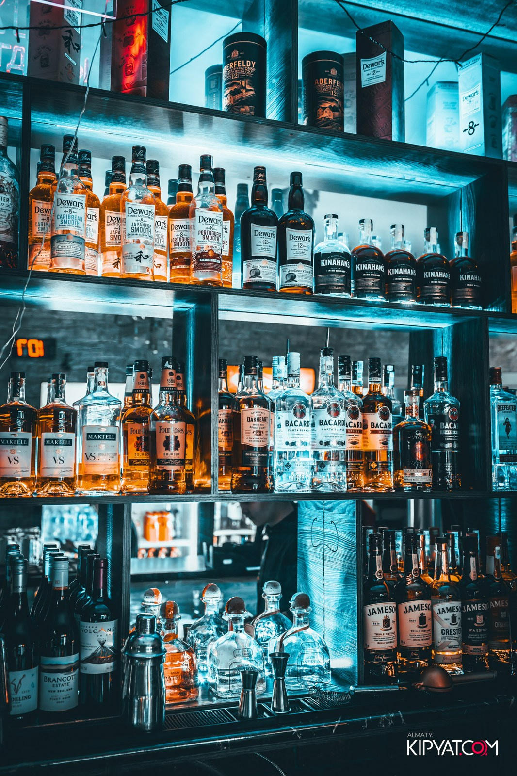 УХО И МЕДВЕДЬ НА ГАГАРИНА. КИПЯТКОМ АЛМАТЫ!