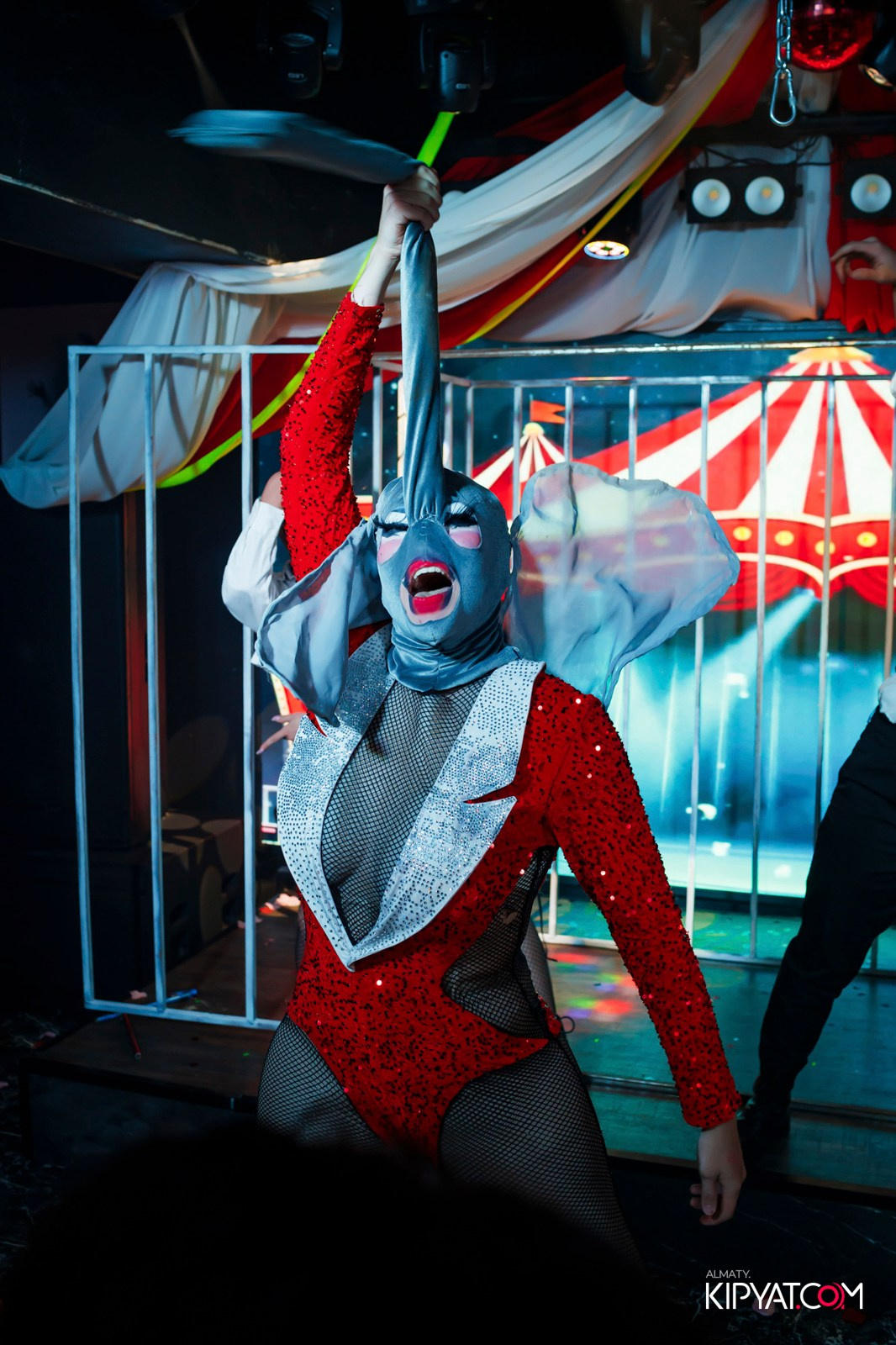 PLAYBOY NIGHT CLUB. КИПЯТКОМ АЛМАТЫ!