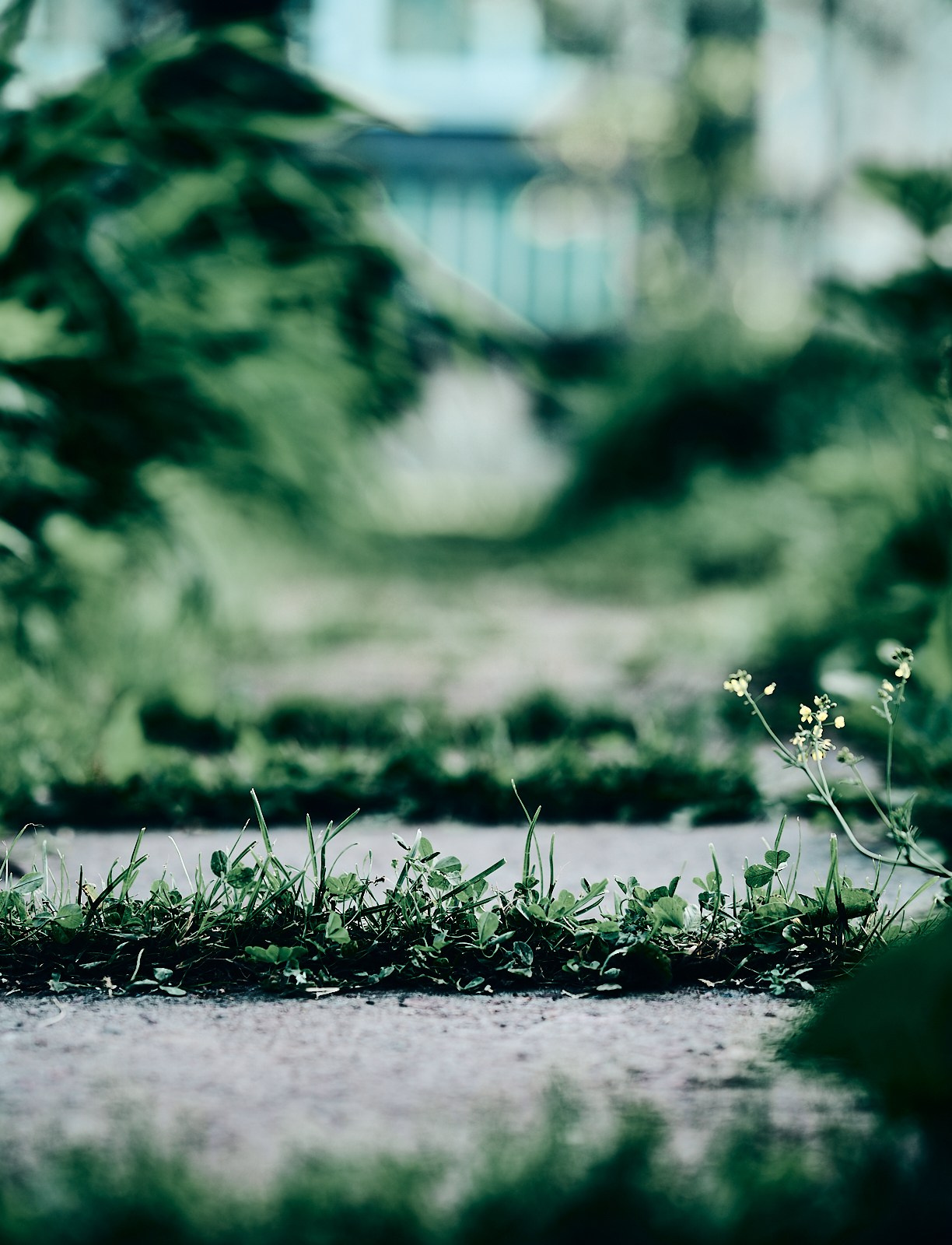 Ботаника. Фотограф Дмитрий Логинов