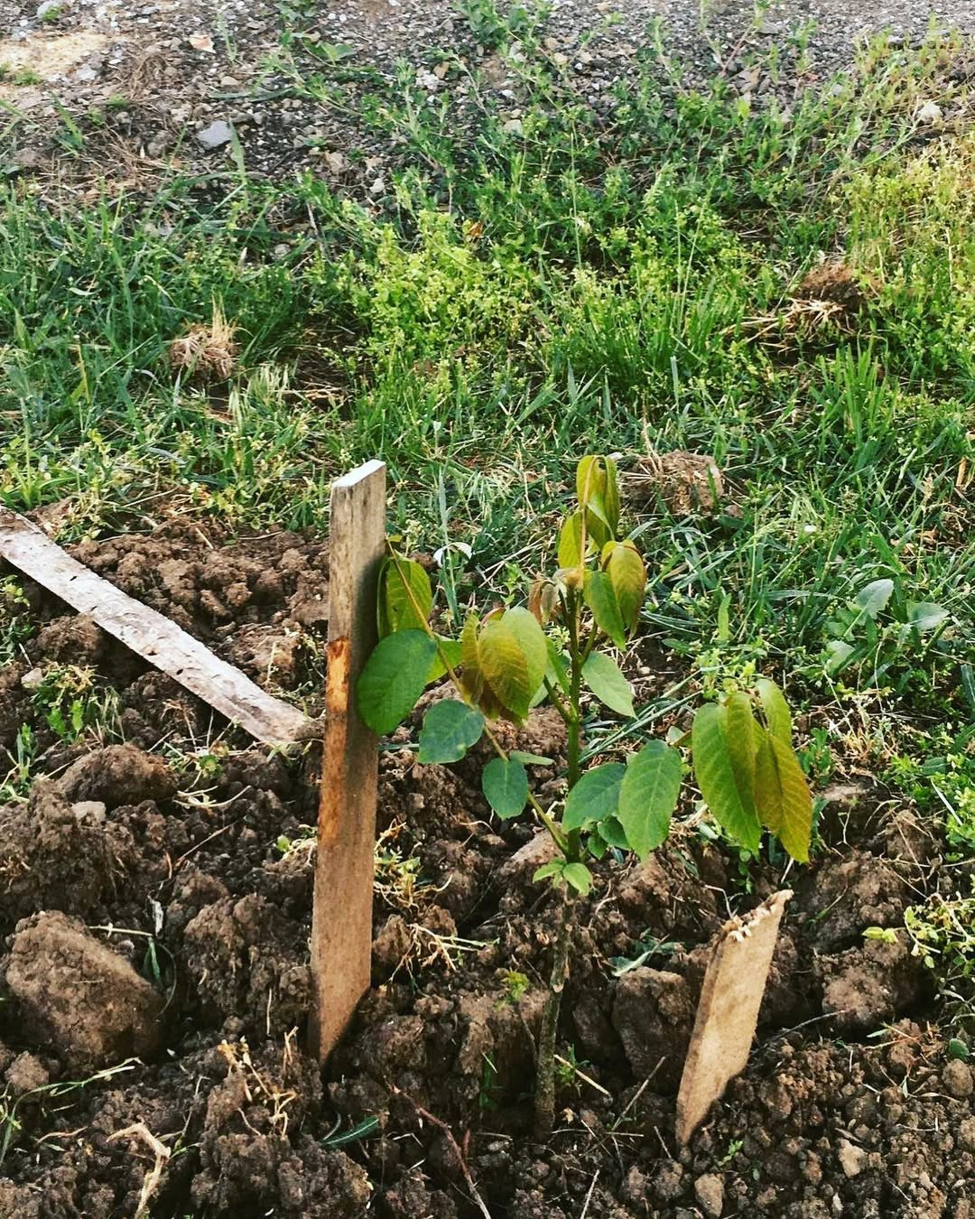 🎖️ 75 ЛЕТ ВЕЛИКОЙ ПОБЕДЫ: ПАМЯТЬ, КОТОРАЯ ОБЪЕДИНЯЕТ! 🎖️