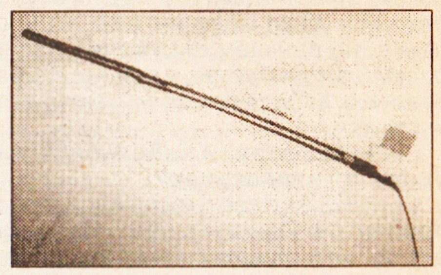 Образ действия. Наталия Шульгина — визуальный художник, фотограф