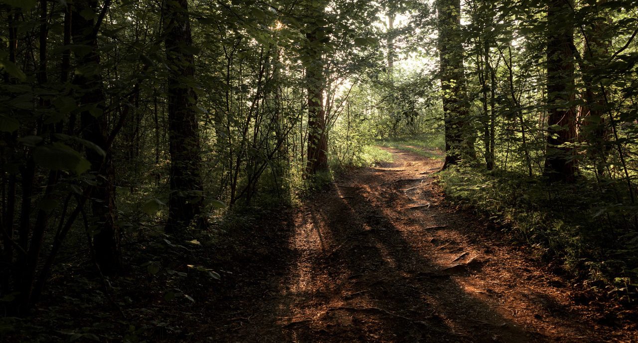 Пейзаж. Тверская обл