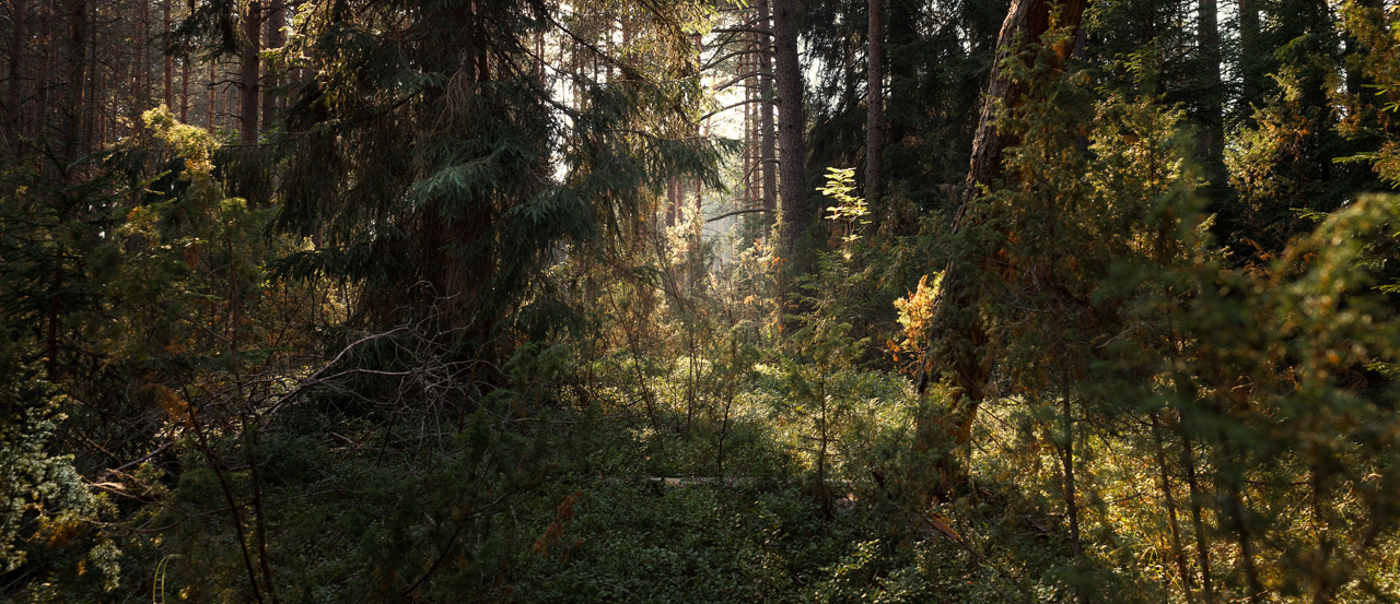 Природа - Тверская область