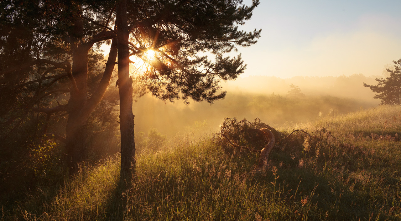 Рассвет на реке Тьма. Тверская область