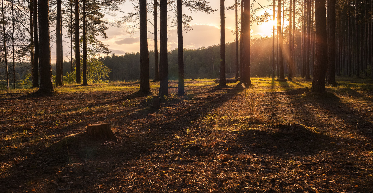 Тверская область, река Тьма