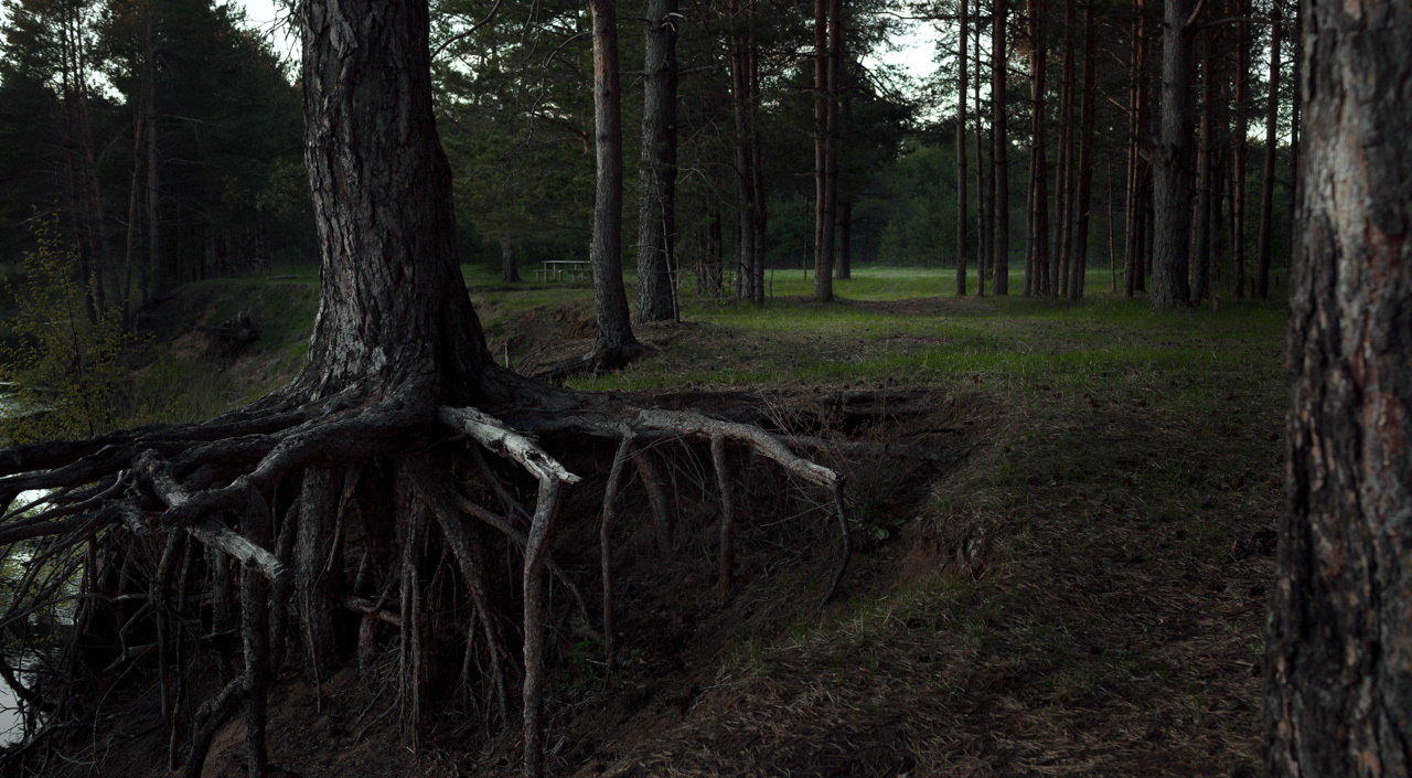 Река Тьма, Тверская область