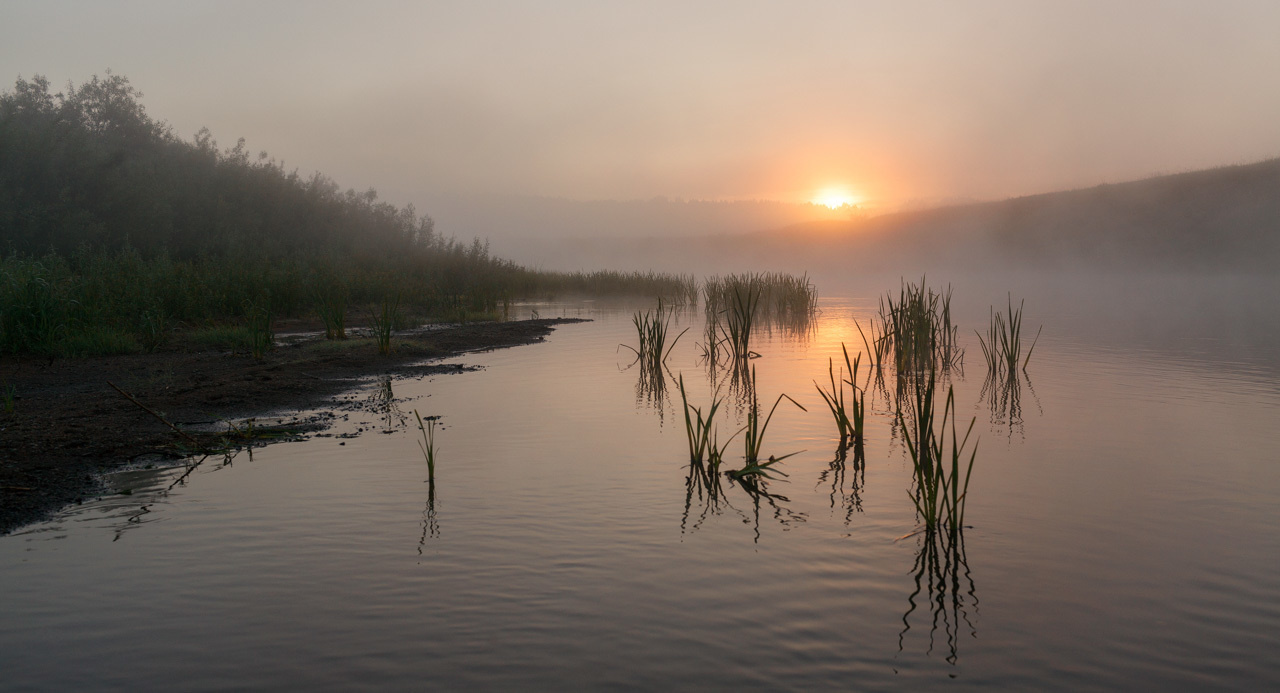 Рассвет на реке Тьма