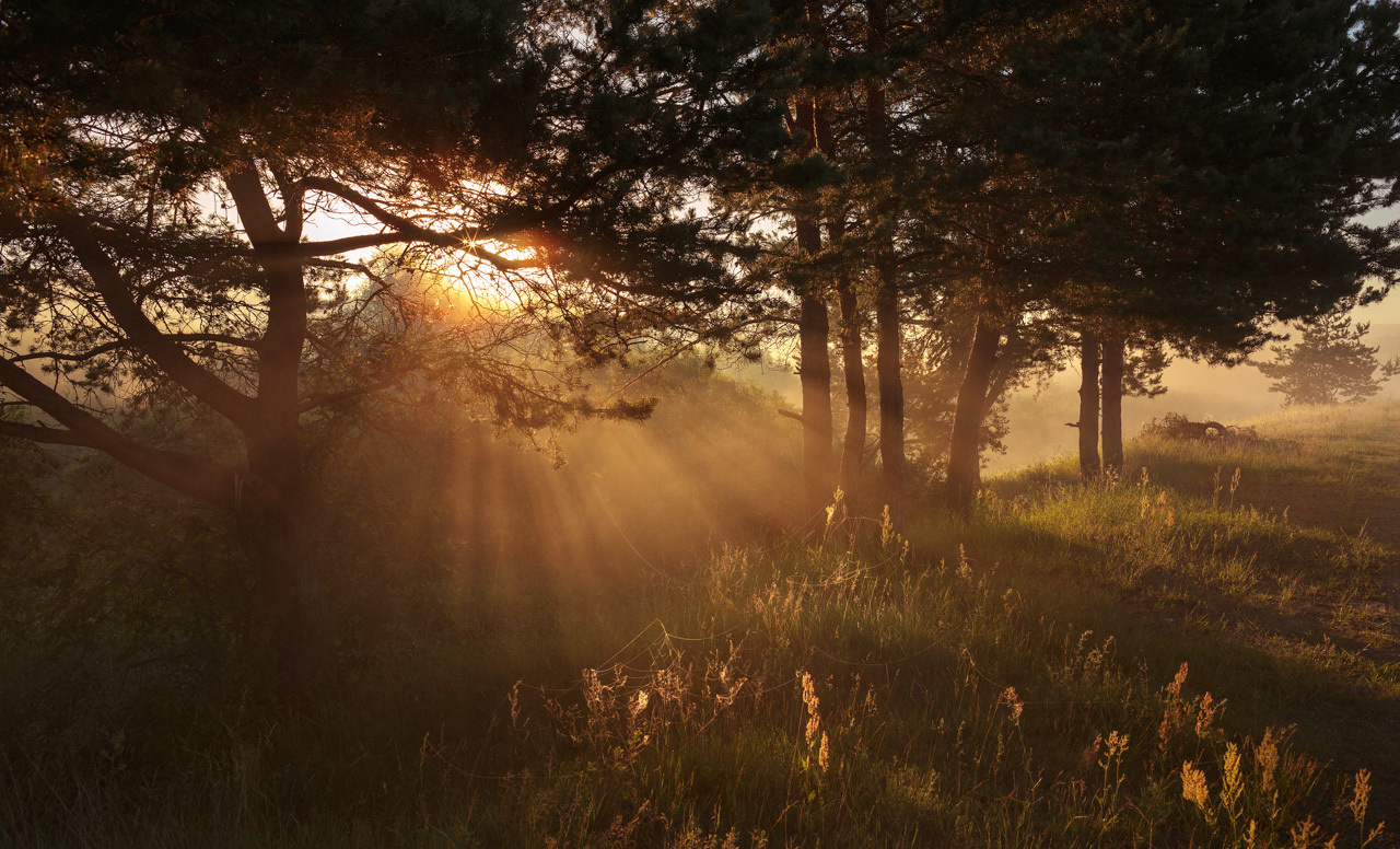 Тверская область. Рассвет по реке Тьма
