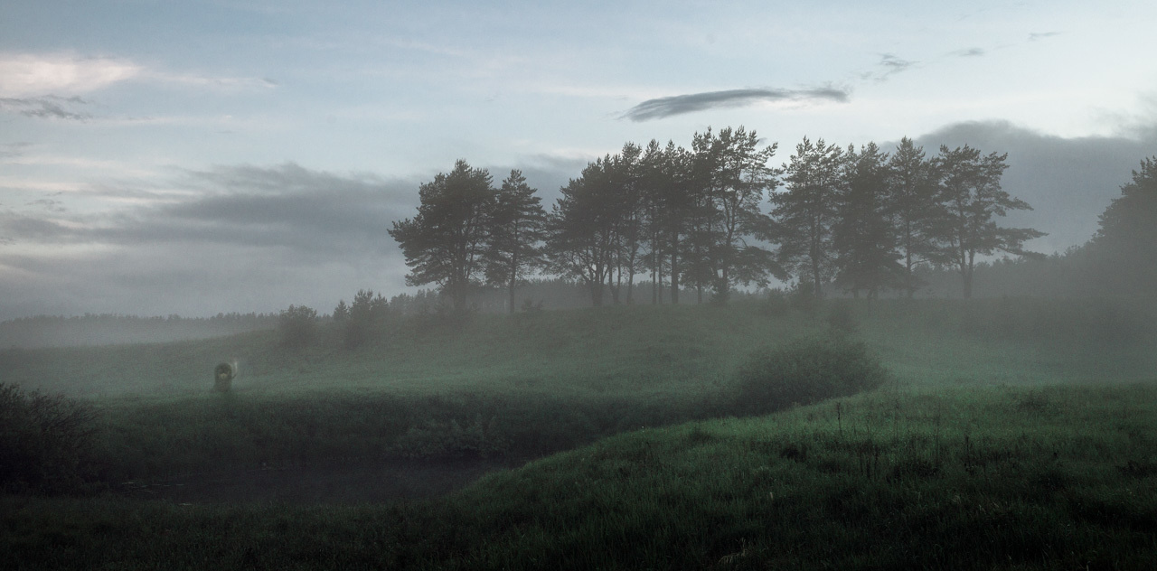 Ёжик в тумане. Пейзаж - Тверская область