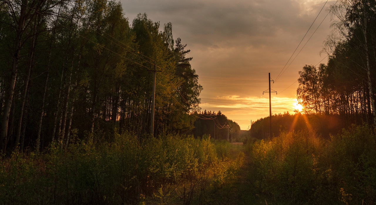 Пейзаж Тверская область, закат