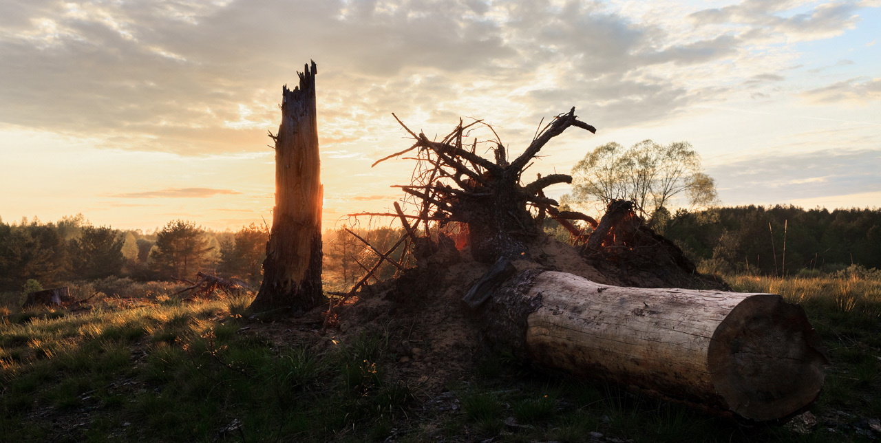 Пейзаж Тверская область