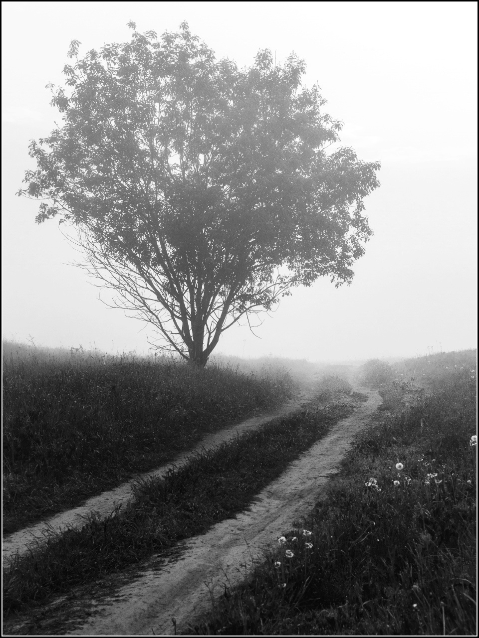 ЧБ Пейзаж. Торопов Роман