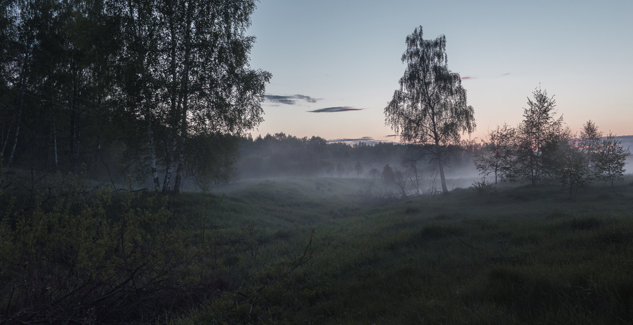 Тверской пейзаж. Торопов Роман